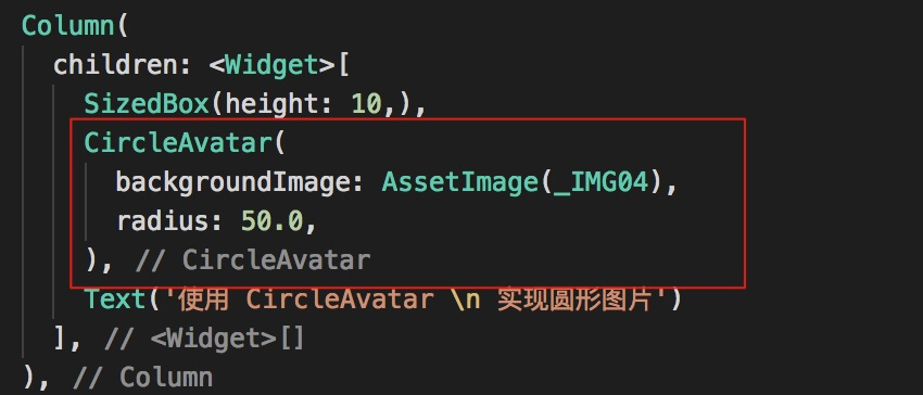 CircleAvatar 实现圆形图片